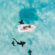 vacation-image