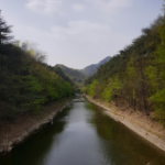 place-image